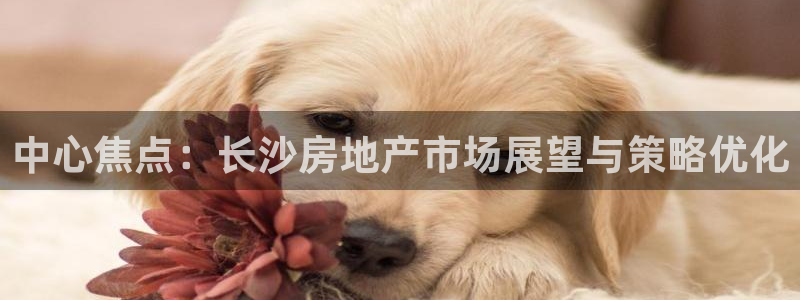 新宝5官网：中心焦点：长沙房地产市场展望与策略优化