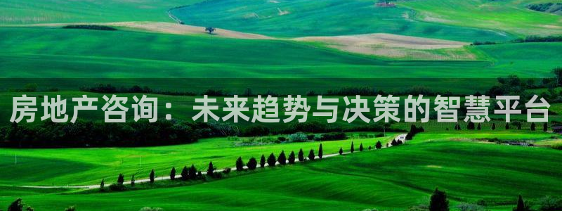 新宝5怎么代理：房地产咨询：未来趋势与决策的智慧平台