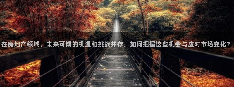 新宝5官方登录入口：在房地产领域，未来可期的机遇和挑战并存，