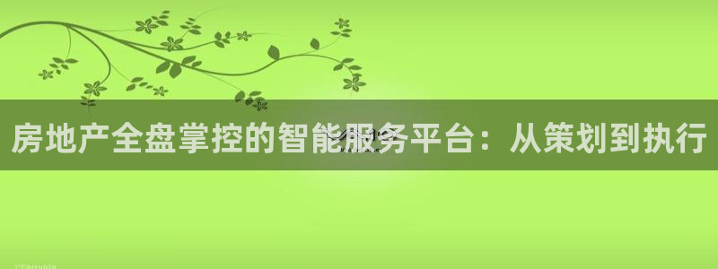 新宝5娱乐主管：房地产全盘掌控的智能服务平台：从策划到执行