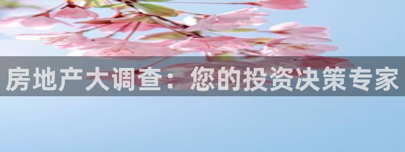 老新宝5授权登录：房地产大调查：您的投资决策专家