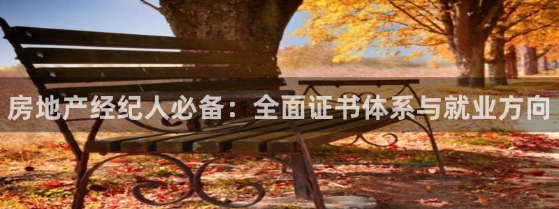 新宝5网：房地产经纪人必备：全面证书体系与就业方向