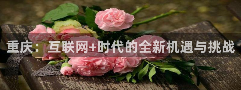 新宝5线路：重庆：互联网+时代的全新机遇与挑战