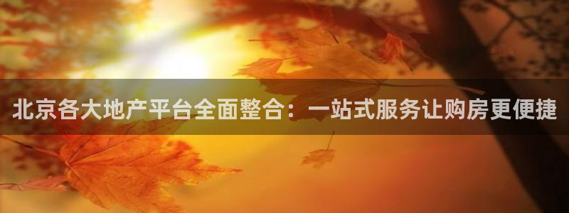 新宝5彩票平台登陆：北京各大地产平台全面整合：一站式服务让购