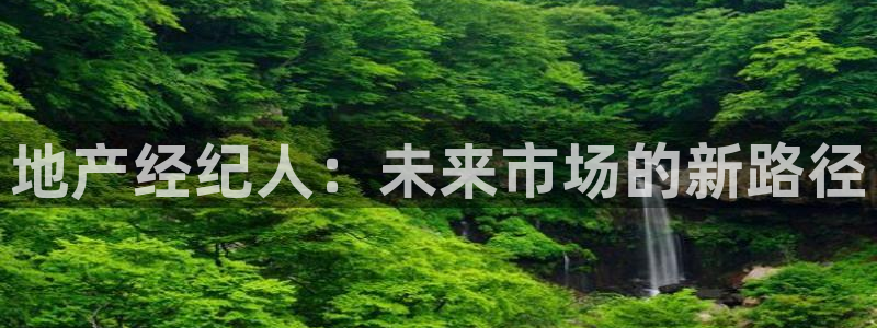 新宝5是谁