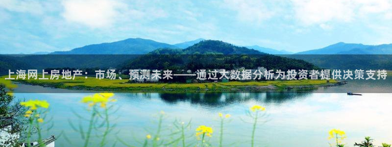 i新宝5：上海网上房地产：市场、预测未来——通过大数据分析为