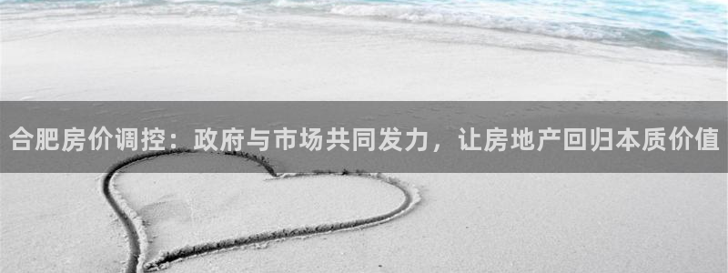 新宝5_测：合肥房价调控：政府与市场共同发力，让房地产回归本