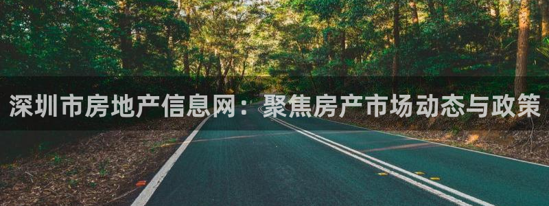 新宝5官网霸：深圳市房地产信息网：聚焦房产市场动态与政策