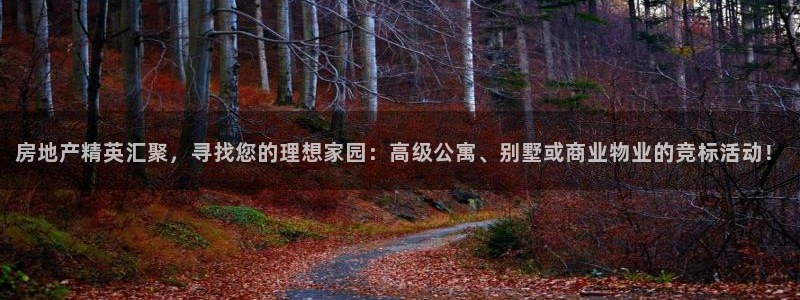 新宝5日740005蔻：房地产精英汇聚，寻找您的理想家园：高