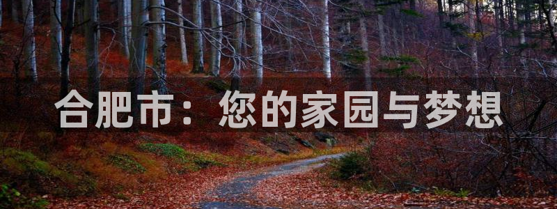 新宝5招商222111：合肥市：您的家园与梦想