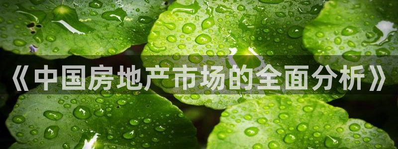 新宝6霸哥5：《中国房地产市场的全面分析》
