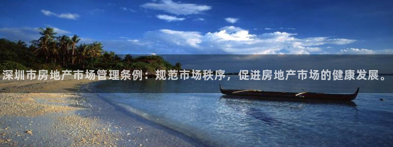 新宝5测速：深圳市房地产市场管理条例：规范市场秩序，促进房地
