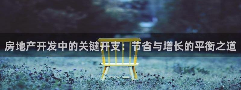 新宝5官方：房地产开发中的关键开支：节省与增长的平衡之道