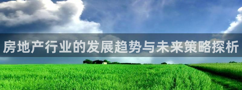 新宝 5测速：房地产行业的发展趋势与未来策略探析