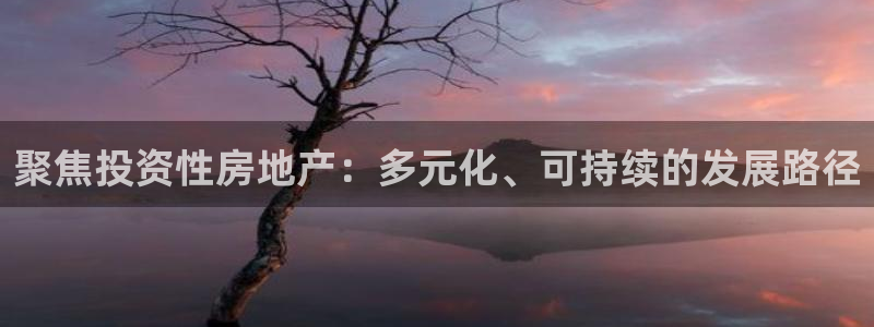新宝6霸哥5：聚焦投资性房地产：多元化、可持续的发展路径