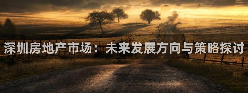 新宝5寂创33300散：深圳房地产市场：未来发展方向与策略探