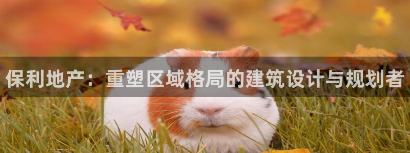 新宝5彩票娱乐平台
