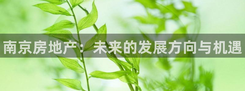 新宝5导师：南京房地产：未来的发展方向与机遇