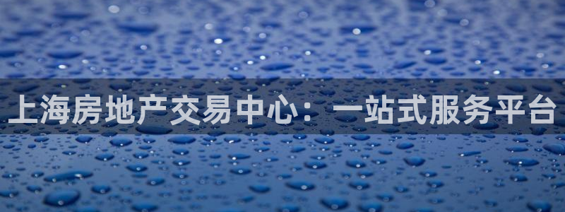 新宝5下载app：上海房地产交易中心：一站式服务平台