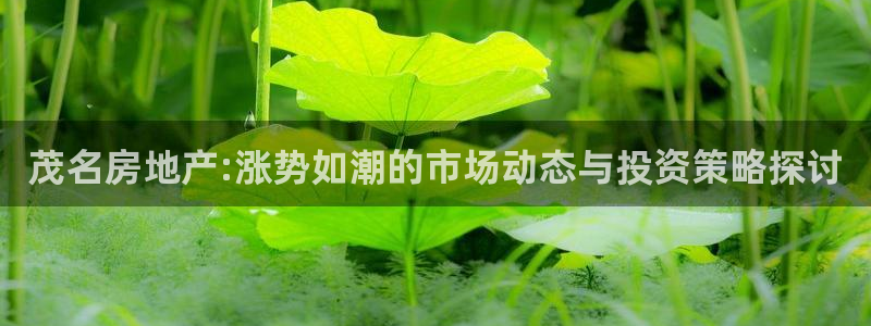 新宝5手机平台登陆：茂名房地产:涨势如潮的市场动态与投资策略