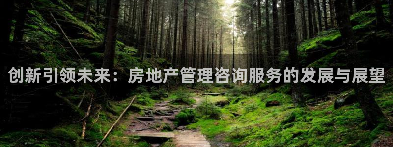 新宝5电脑登录网址：创新引领未来：房地产管理咨询服务的发展与