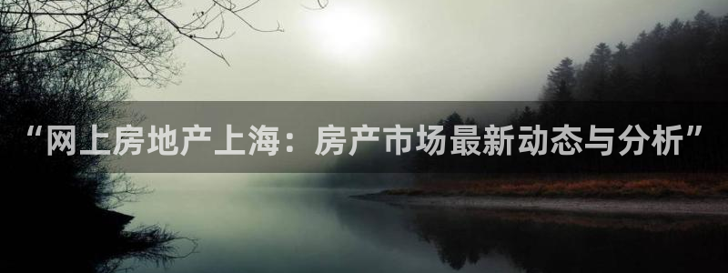 新宝5测速在线：“网上房地产上海：房产市场最新动态与分析”
