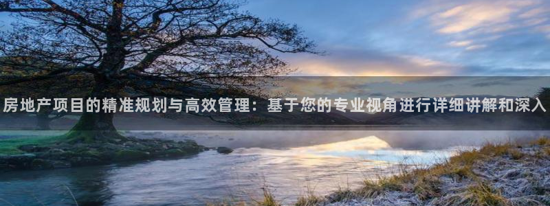 新宝5彩票娱乐平台：房地产项目的精准规划与高效管理：基于您的