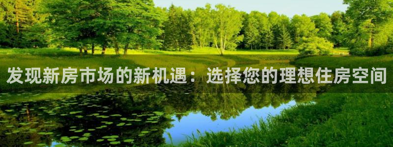 股票5G宝新：发现新房市场的新机遇：选择您的理想住房空间