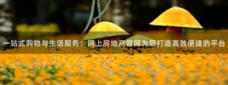 新宝5 唯一：一站式购物与生活服务：网上房地产官网为您打造高