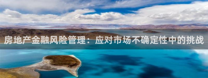新宝5的网址：房地产金融风险管理：应对市场不确定性中的挑战