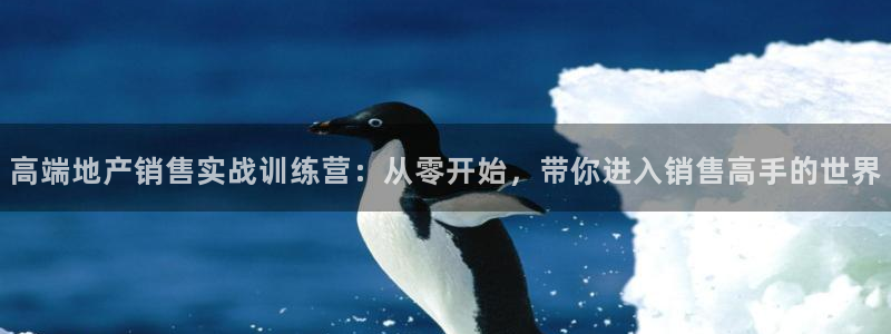 新宝5娱乐网址：高端地产销售实战训练营：从零开始，带你进入销