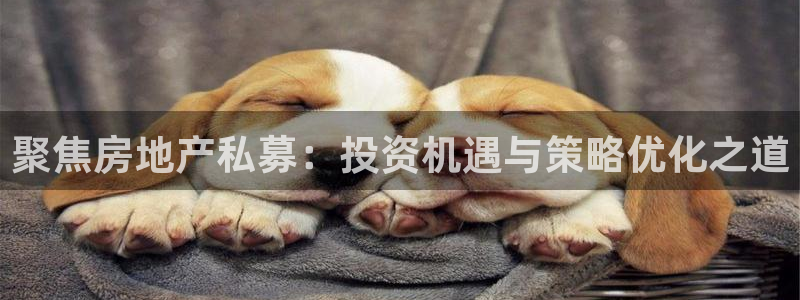 新宝5首页：聚焦房地产私募：投资机遇与策略优化之道