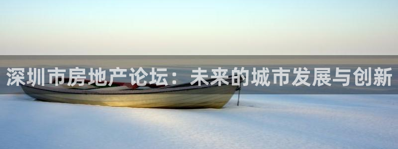 新宝5测速平台登录：深圳市房地产论坛：未来的城市发展与创新