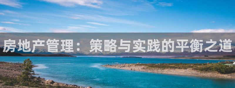 新宝5官方登录入口：房地产管理：策略与实践的平衡之道