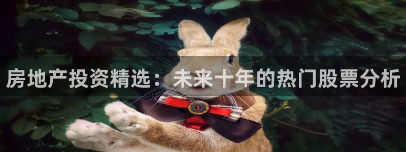 新宝5在哪里：房地产投资精选：未来十年的热门股票分析