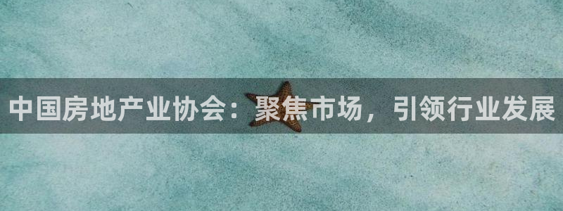 新宝5王问74OOO5：中国房地产业协会：聚焦市场，引领行业