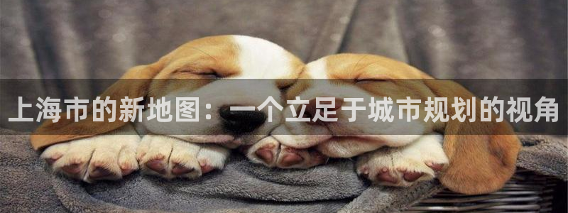 新宝5代理：上海市的新地图：一个立足于城市规划的视角