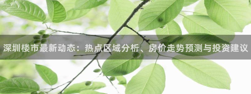 新宝那2O5O5O：深圳楼市最新动态：热点区域分析、房价走势