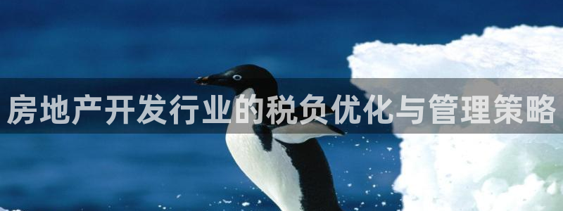 新宝5内部：房地产开发行业的税负优化与管理策略