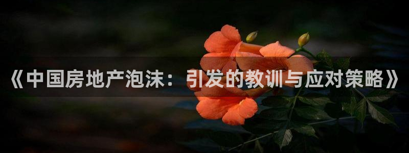 新宝5后：《中国房地产泡沫：引发的教训与应对策略》