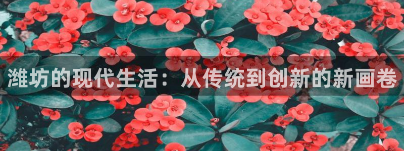 新宝gg5：潍坊的现代生活：从传统到创新的新画卷