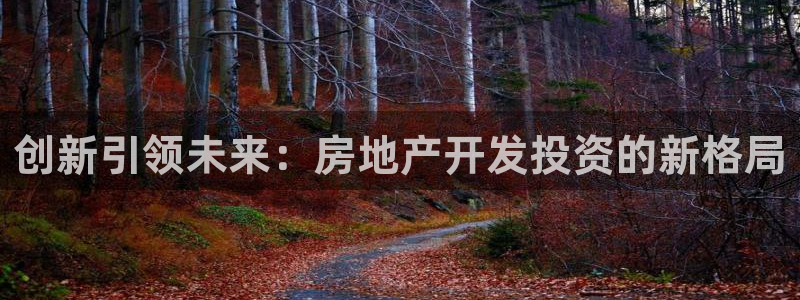 新宝5平台登录注册：创新引领未来：房地产开发投资的新格局
