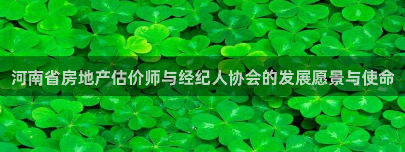 新宝 5测速：河南省房地产估价师与经纪人协会的发展愿景与使命