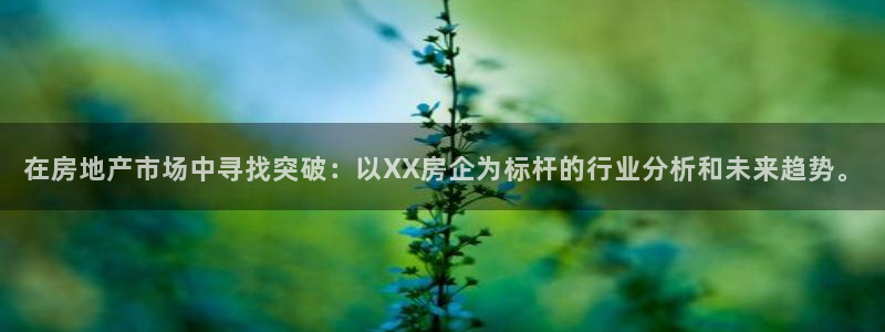 新宝5尤74OOO5：在房地产市场中寻找突破：以XX房企为标