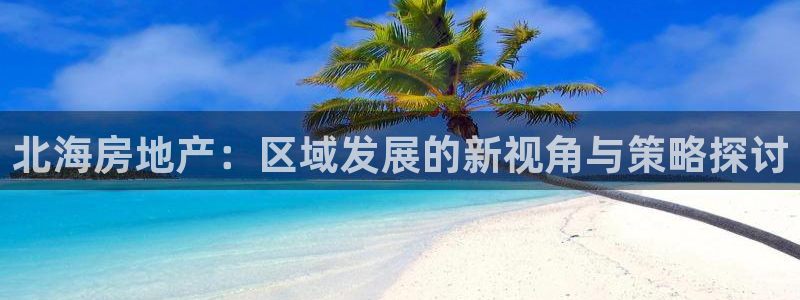 新宝5娱乐学：北海房地产：区域发展的新视角与策略探讨
