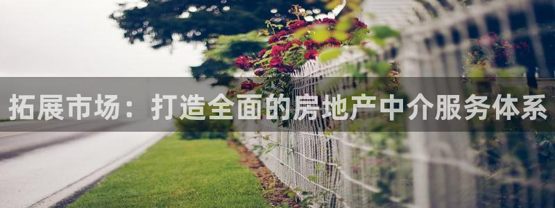 新宝3得74OO5：拓展市场：打造全面的房地产中介服务体系