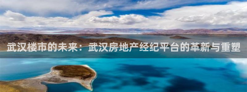 新宝_5：武汉楼市的未来：武汉房地产经纪平台的革新与重塑