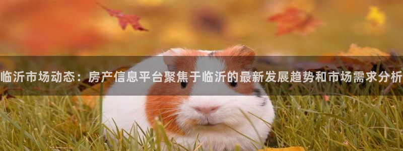 新宝5登录测速中心：临沂市场动态：房产信息平台聚焦于临沂的最