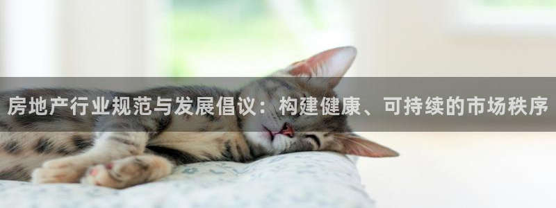 新宝5线路：房地产行业规范与发展倡议：构建健康、可持续的市场