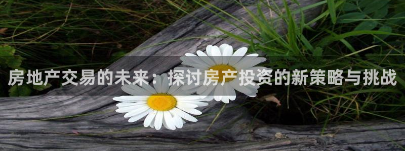新宝5策略：房地产交易的未来：探讨房产投资的新策略与挑战